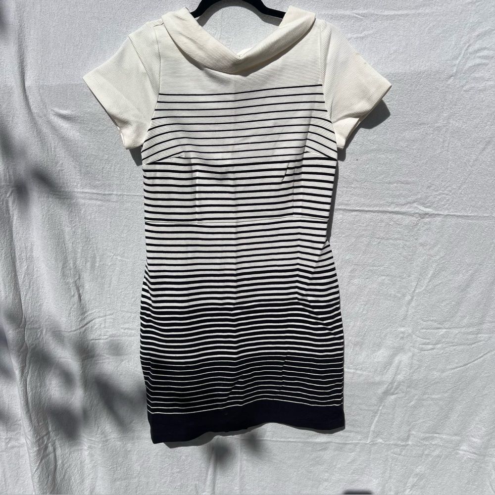 Talbots Ivory and Black Knit Top